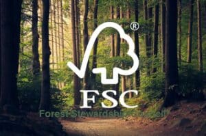 La importancia del papel certificado FSC: nuestro compromiso con el medio ambiente